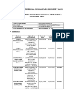 Experiencia Del Profesional Especialista en Seguridad y Salud - Manuel Mayanga