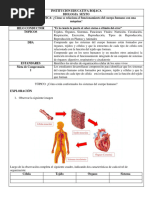 Guia Cuerpo Humano