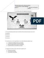 Evaluacion 5° Ciencias Naturales