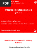 Funcion Nerviosa Sensorial Vision y Audicion