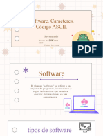 Software, Caracteres y Codigo