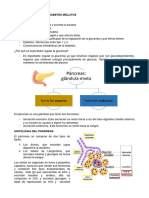 Pancreas Endocrino e Intro DBT