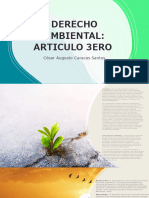 Articulo 3ero - Derecho Ambiental - Cesar Augusto Caracas Santos