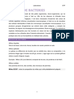 Protocole Microbiologie Final