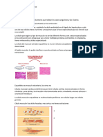 Musculo Esquelético Audio Libro