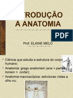 Anatomia Aula 1