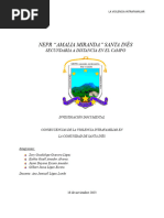 Violencia Intrafamiliar - Invest Doc 2023 Finalizado