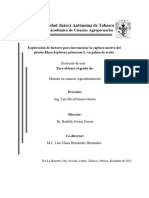 5ta Correción Protocolo de Tesis Exploración de Factores para Incrementar La Captura Masiva Del Picudo Rhynchophorus Palmarum L. en Palma de Aceite