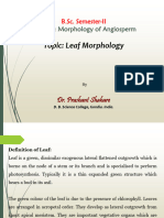 SEM II UNIT II Leaf Morphology DR - Prashant Shahare