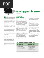 Growing Grass in Shade