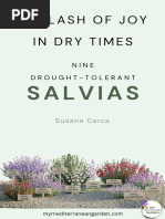 Salvias