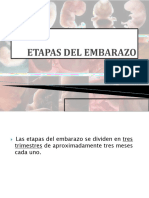 Etapasdelembarazo 160912033958