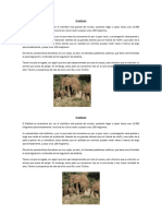 aRTICULO INFORMATIVO ANIMALES