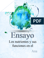 Ensayo "Los Nutrientes y Sus Funciones en El Organismo"