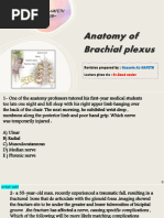 Anatomy of Brachial Plexus - Hussein 2028