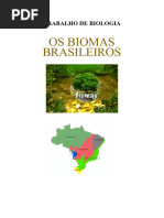 Biomas - Trabalho de Biologia 3º Ano