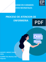 Proceso de Atencion de Enfermeria: Especialidad en Cuidados Intensivos Neonatales