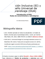 Teoria 4 DUA. Redes de Reconocimientos PDF