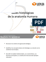 Clase 1 Bases Histológicas para La Anatomía Humana