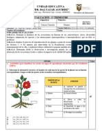 EVALUACION PRIMER TRIMESTRE 7mo QUINARA