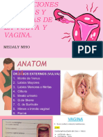 Alteraciones Benignas y Malignas de La Vulva y Vagina.