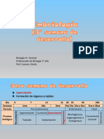 4.-Embriología - 3° Semana de Desarrollo