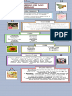 Infografía Linea de Tiempo Ilustrada Papel Con Fotografías