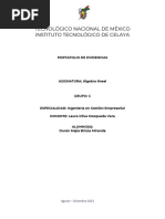 Portafolio de Evidencias Algebra