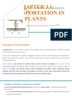 Chapter 3.1 - Transportation in Plants