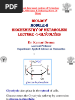 Glycolosis