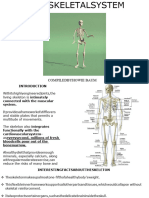 The Skeletal System