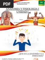 Anatomia y Fisiologia I