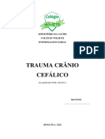 Traumatismo Cranioencefálico