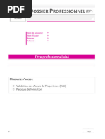 Dossier Professionnel Version Manuscrite 1