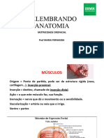 Relembrandoanatomia 20240307120027