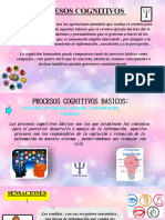 Proyecto Final Introduccion