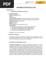 Informe Estudio Del Caso - Final Final Este Siiiii