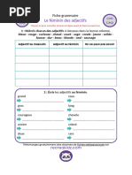 Le Feminin Des Adjectifs Ce1 Ce2 Cm1 Cm2