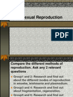 Asexual Reproduction in Plants