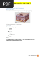 Lesiones Elementales (Modulo II) Q