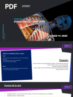 Diapositiva Modulo III Cara y Cuello - Clases 11 y 12