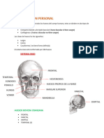 Clases Identificacion Perosnal-Final