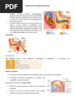 Introduccion Otorrinolarimgologia