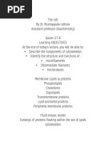 The Cytoskeleton