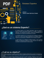 Sistemas Expertos