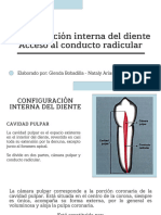 Configuración Interna Del Diente y Acceso Al Conducto Radicular