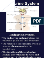 Endocrine Systemnew