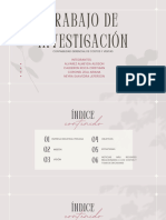 Trabajo de Investigacion Final