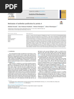 Artículo 1 Protein A