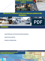 Aldc2022 Angola Desafios Perspectivas 18oct PPT PT